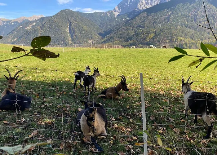 Evelyn - Haus Karwendel,