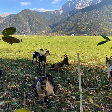 Evelyn - Haus Karwendel,